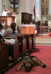 dogs and priest