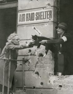 Cat being rescued in WW2 (from State Library, Victoria, Australia H98 106/597)